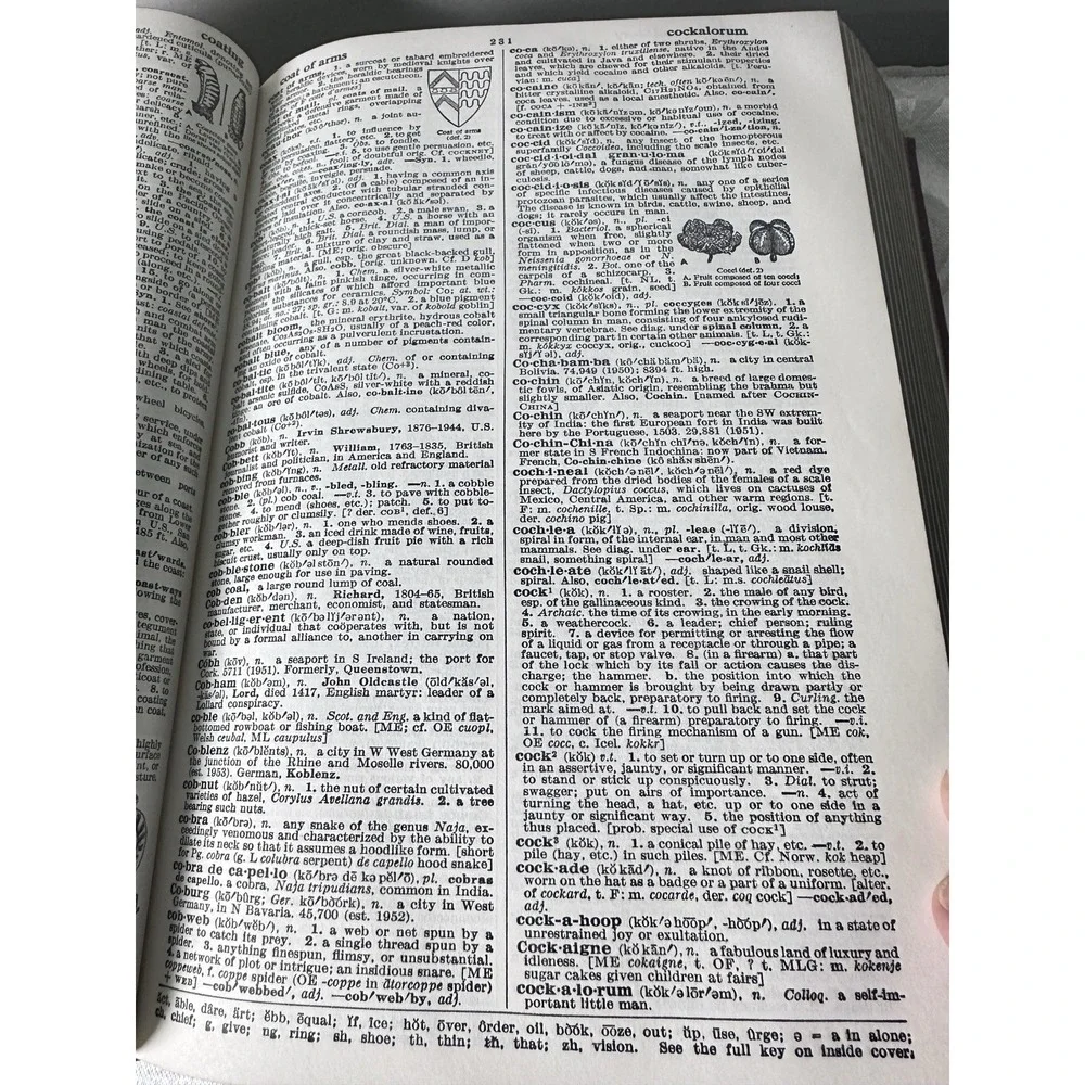 Vintage American College Dictionary‎ 1960s Random House Decor Book